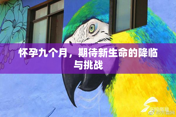 怀孕九个月，期待新生命的降临与挑战
