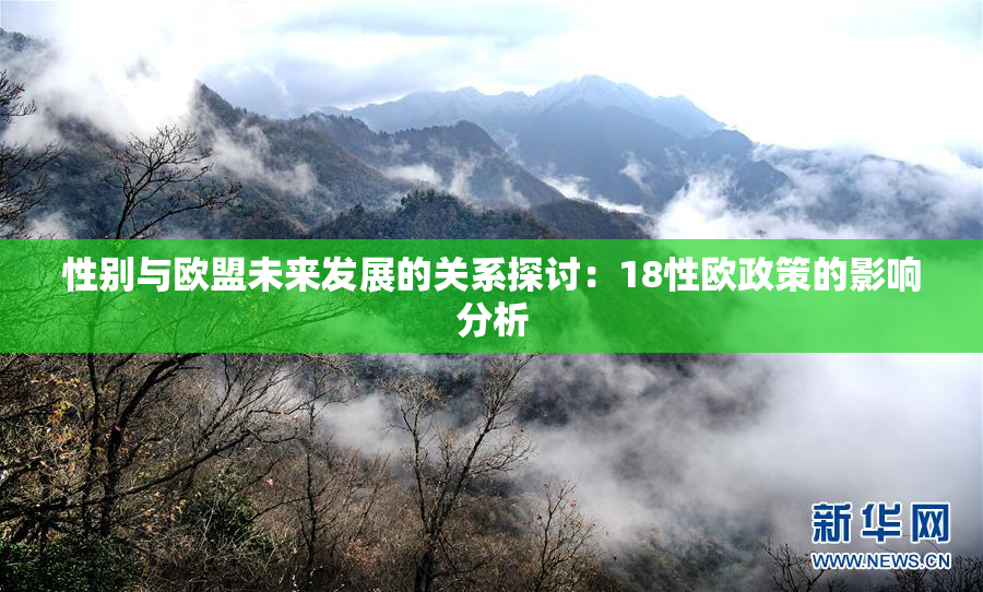 性别与欧盟未来发展的关系探讨：18性欧政策的影响分析