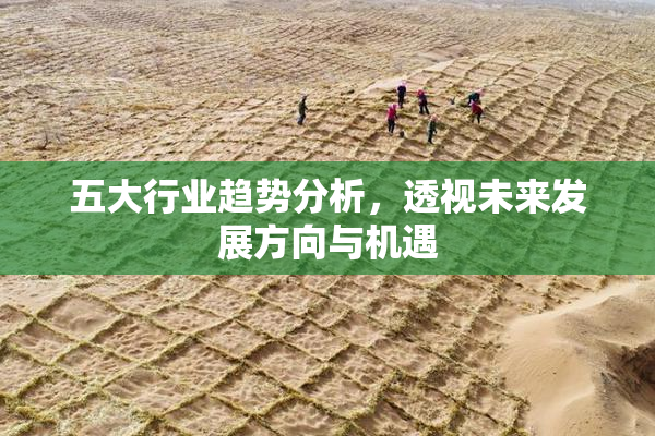 五大行业趋势分析，透视未来发展方向与机遇