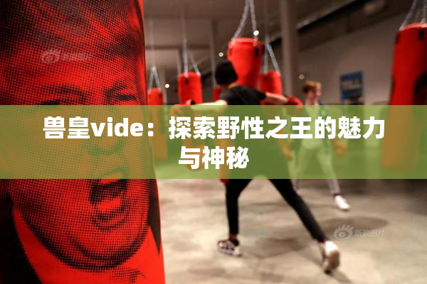 兽皇vide：探索野性之王的魅力与神秘