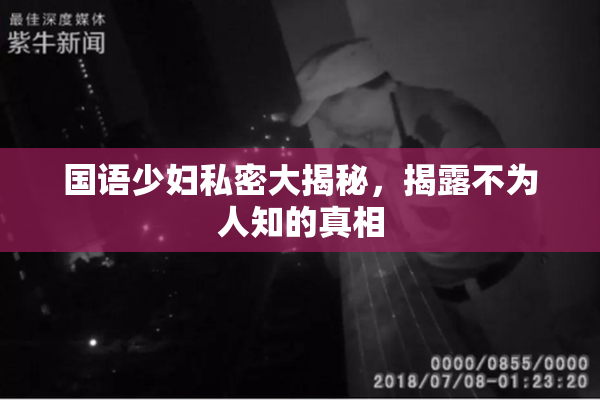 国语少妇私密大揭秘，揭露不为人知的真相