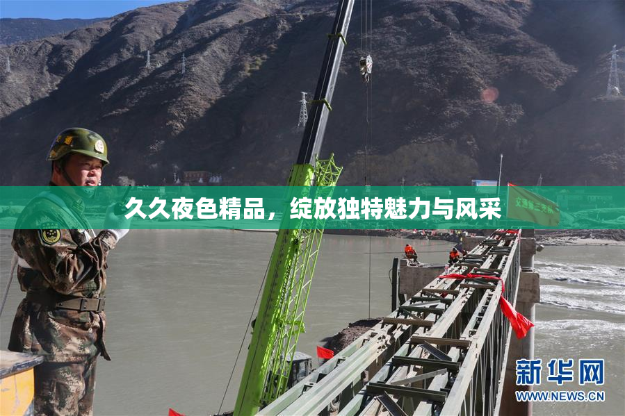 久久夜色精品，绽放独特魅力与风采