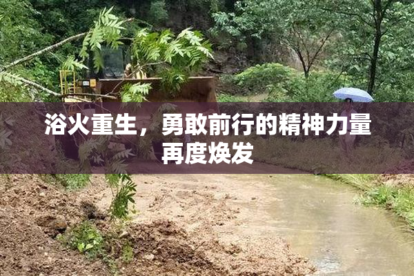 浴火重生，勇敢前行的精神力量再度焕发