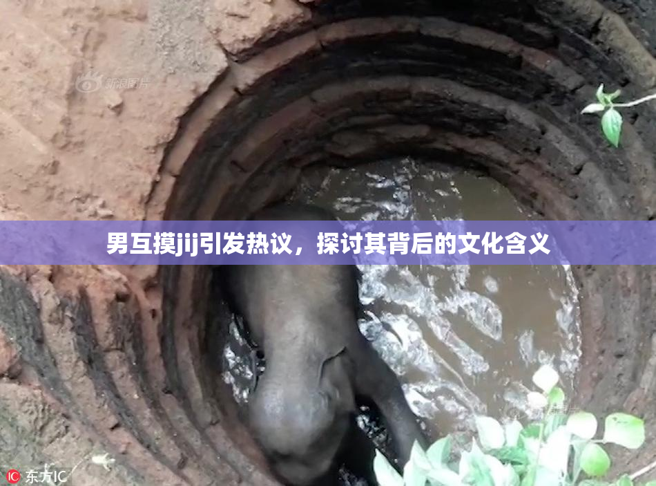 男互摸jij引发热议，探讨其背后的文化含义