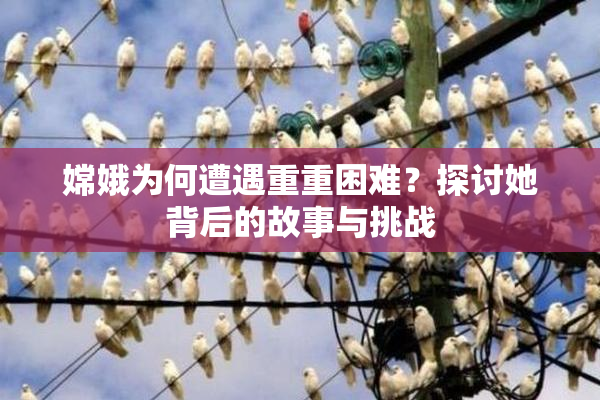 嫦娥为何遭遇重重困难？探讨她背后的故事与挑战