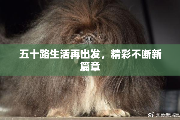 五十路生活再出发，精彩不断新篇章
