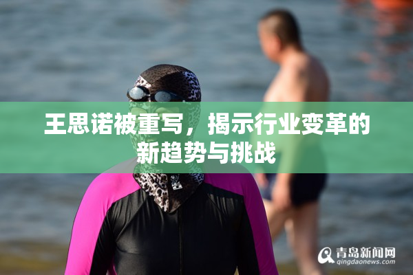 王思诺被重写，揭示行业变革的新趋势与挑战