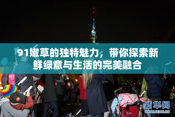91嫩草的独特魅力，带你探索新鲜绿意与生活的完美融合