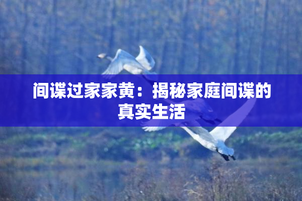 间谍过家家黄：揭秘家庭间谍的真实生活