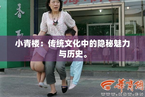 小青楼：传统文化中的隐秘魅力与历史。