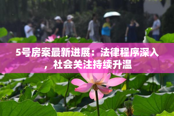 5号房案最新进展：法律程序深入，社会关注持续升温