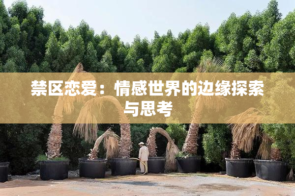 禁区恋爱：情感世界的边缘探索与思考