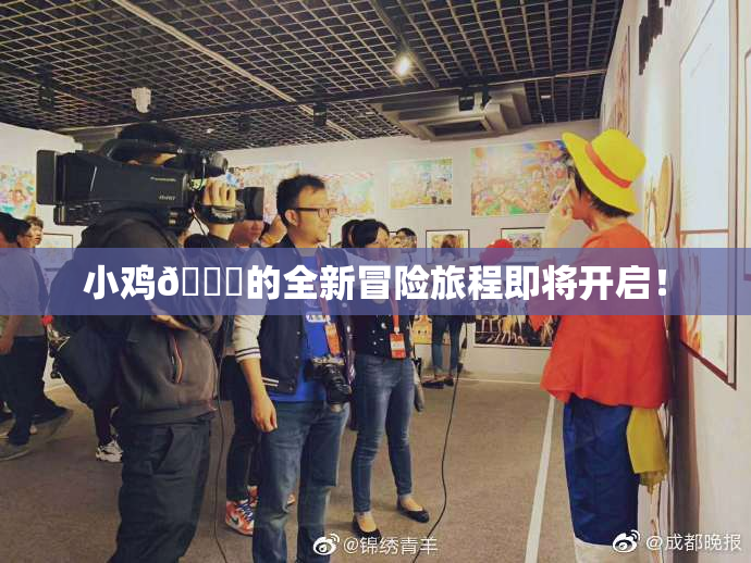 小鸡🐔的全新冒险旅程即将开启！
