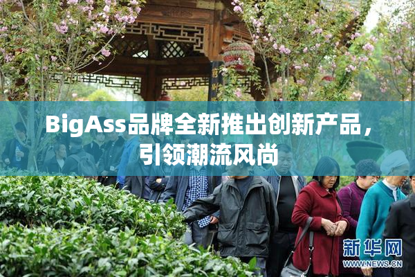 BigAss品牌全新推出创新产品，引领潮流风尚