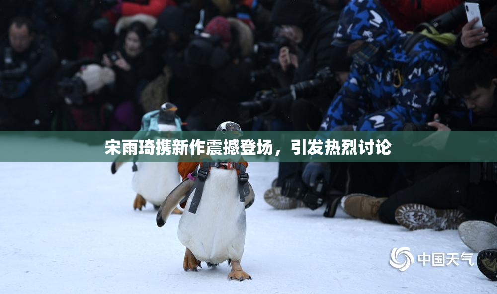 宋雨琦携新作震撼登场，引发热烈讨论