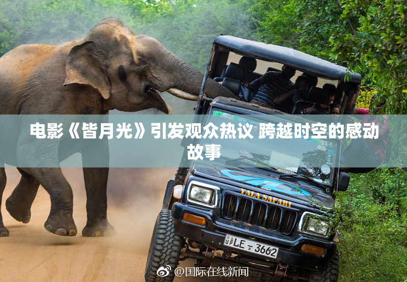电影《皆月光》引发观众热议 跨越时空的感动故事