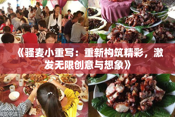 《骚麦小重写：重新构筑精彩，激发无限创意与想象》