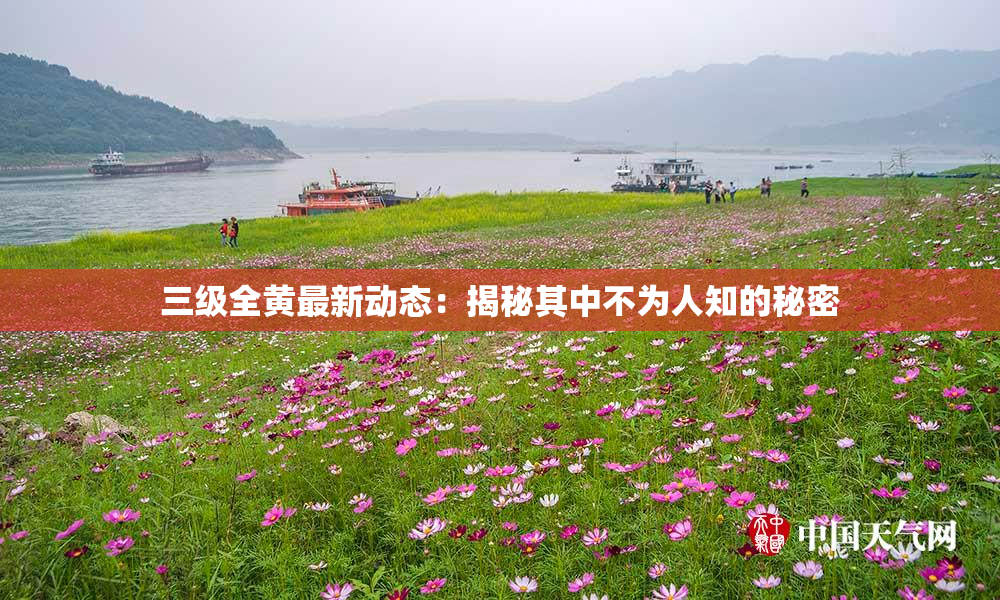 三级全黄最新动态：揭秘其中不为人知的秘密