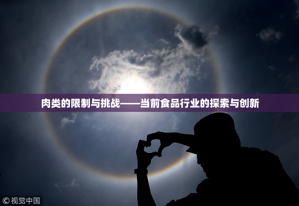 肉类的限制与挑战——当前食品行业的探索与创新