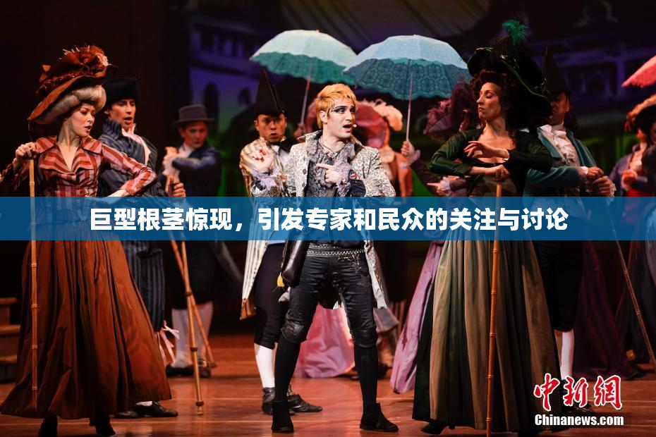 巨型根茎惊现，引发专家和民众的关注与讨论
