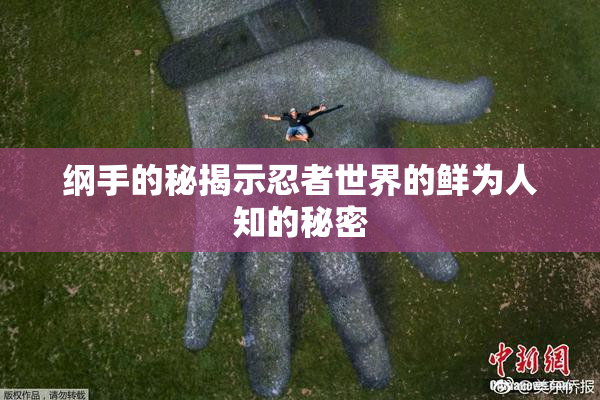 纲手的秘揭示忍者世界的鲜为人知的秘密