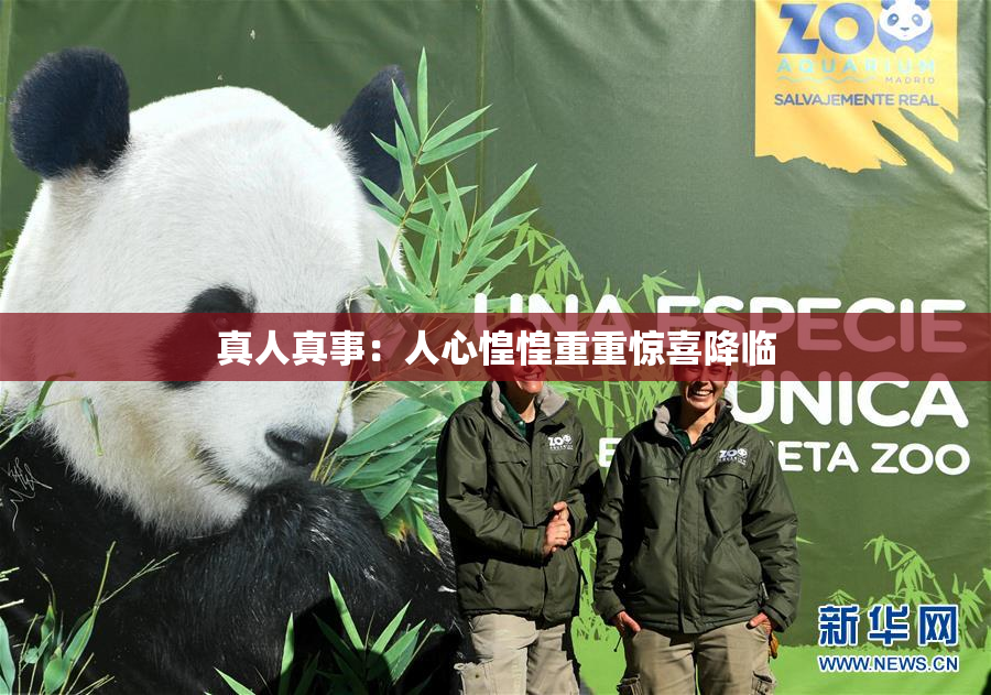 真人真事：人心惶惶重重惊喜降临