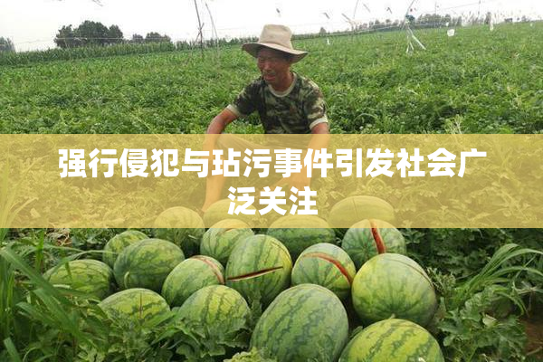 强行侵犯与玷污事件引发社会广泛关注