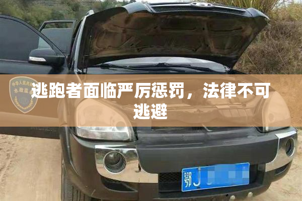 逃跑者面临严厉惩罚，法律不可逃避