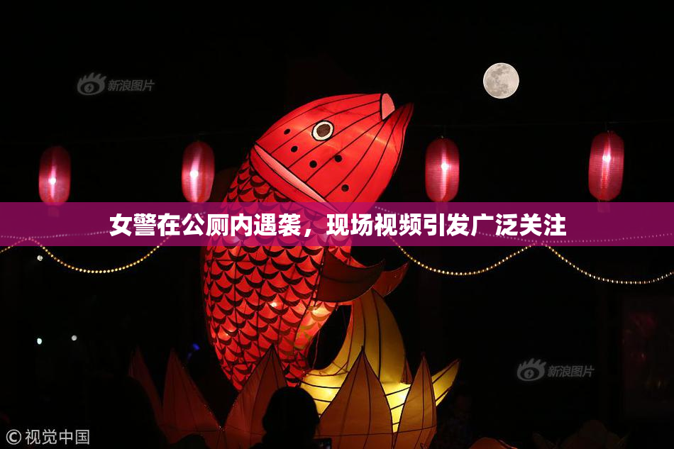 女警在公厕内遇袭，现场视频引发广泛关注