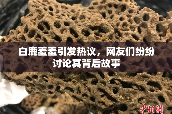 白鹿羞羞引发热议，网友们纷纷讨论其背后故事