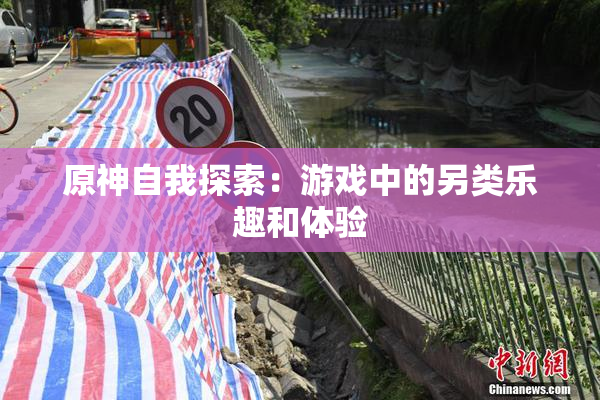 原神自我探索：游戏中的另类乐趣和体验