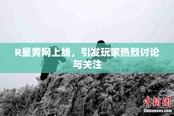R星黄网上线，引发玩家热烈讨论与关注