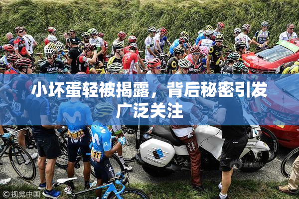 小坏蛋轻被揭露，背后秘密引发广泛关注