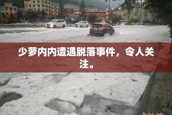 少萝内内遭遇脱落事件，令人关注。