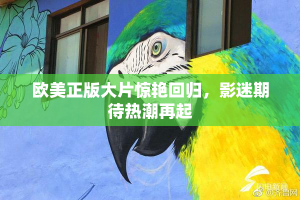 欧美正版大片惊艳回归，影迷期待热潮再起