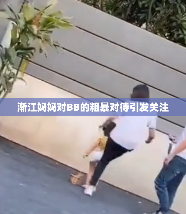 渐江妈妈对BB的粗暴对待引发关注