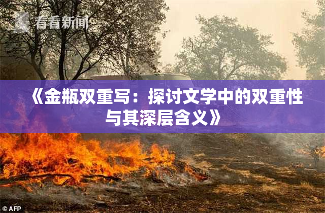 《金瓶双重写：探讨文学中的双重性与其深层含义》