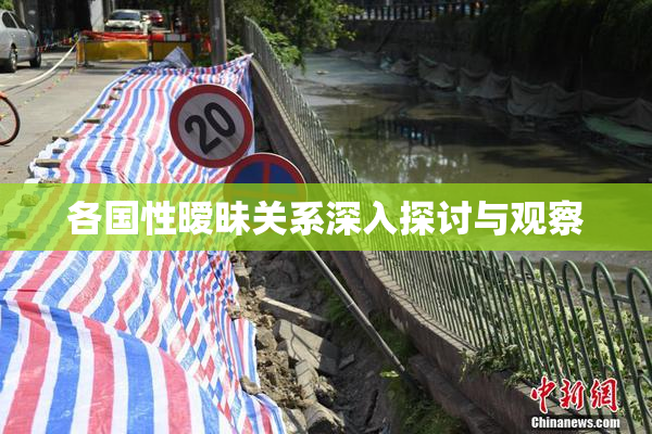 各国性暧昧关系深入探讨与观察