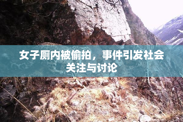 女子厕内被偷拍，事件引发社会关注与讨论