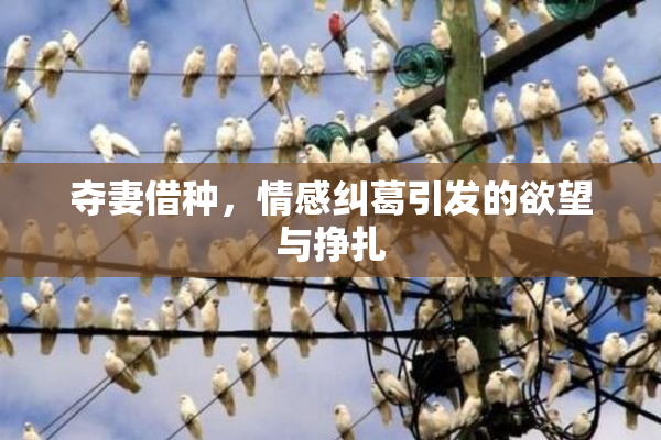 夺妻借种，情感纠葛引发的欲望与挣扎