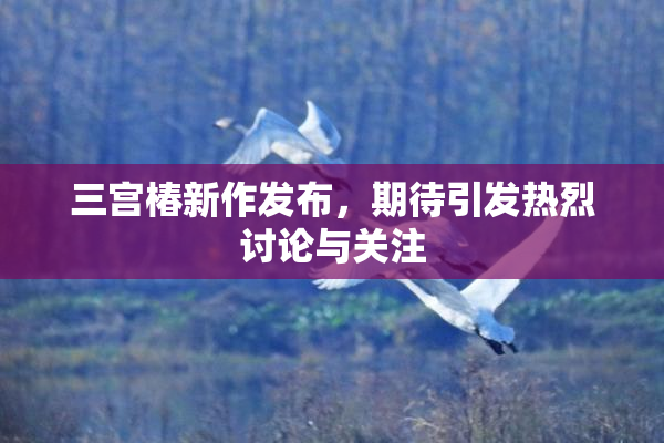 三宫椿新作发布，期待引发热烈讨论与关注
