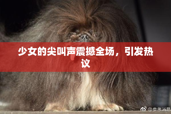 少女的尖叫声震撼全场，引发热议