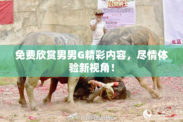 免费欣赏男男G精彩内容，尽情体验新视角！