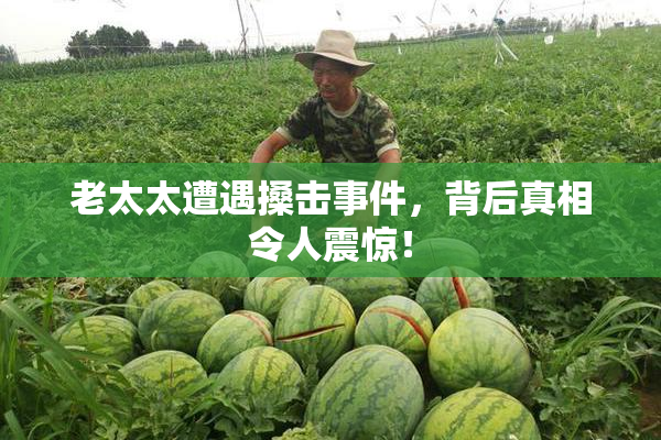 老太太遭遇搡击事件，背后真相令人震惊！