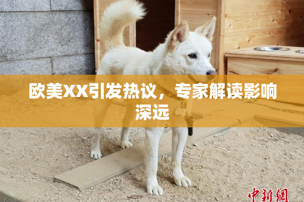 欧美XX引发热议，专家解读影响深远