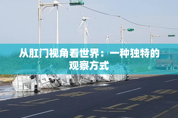 从肛门视角看世界：一种独特的观察方式
