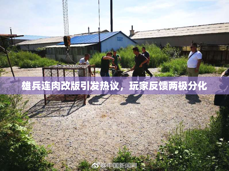 雄兵连肉改版引发热议，玩家反馈两极分化
