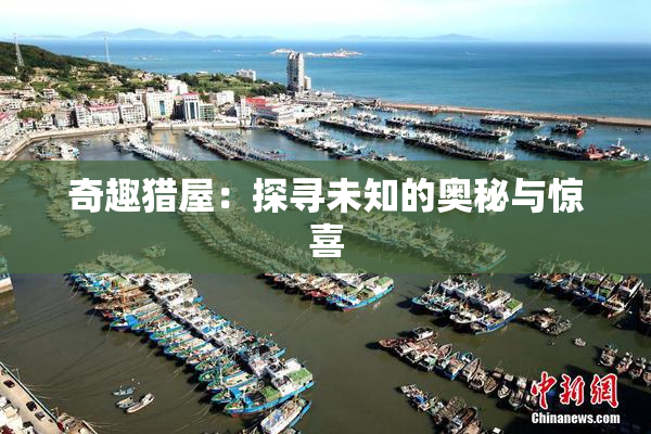 奇趣猎屋：探寻未知的奥秘与惊喜