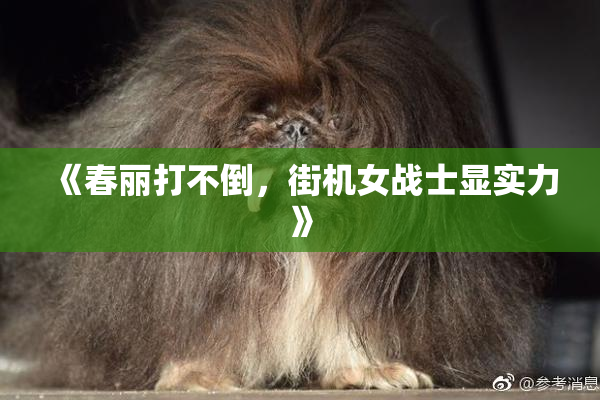 《春丽打不倒，街机女战士显实力》