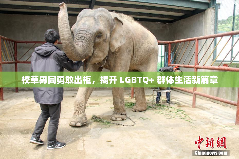 校草男同勇敢出柜，揭开 LGBTQ+ 群体生活新篇章